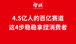 4.5亿人肝着急，未来的百亿赛道，这4步操作稳稳拿捏消费者