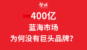 400亿蓝海市场，为何没有巨头品牌？