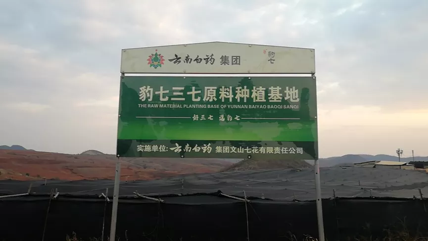 1746600275819162.png WPS图片(1).png