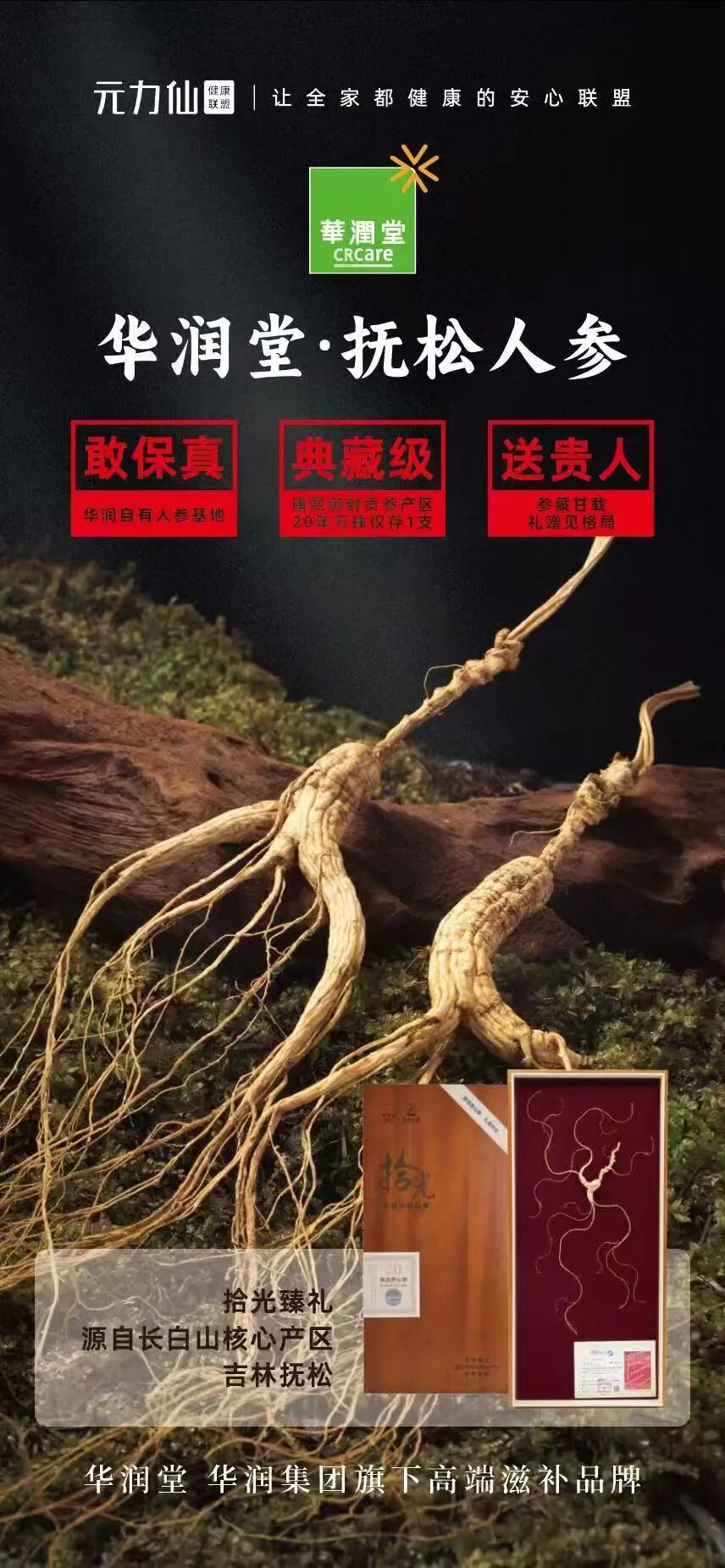 1773033478210652.jpg 640 (1).jpg